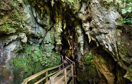 kawiti-caves