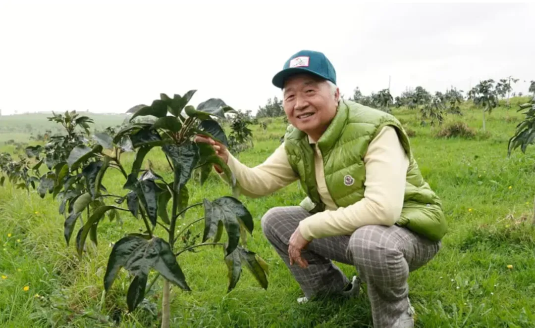 移民在新西兰种珍贵药材,“比在本国长得还好”