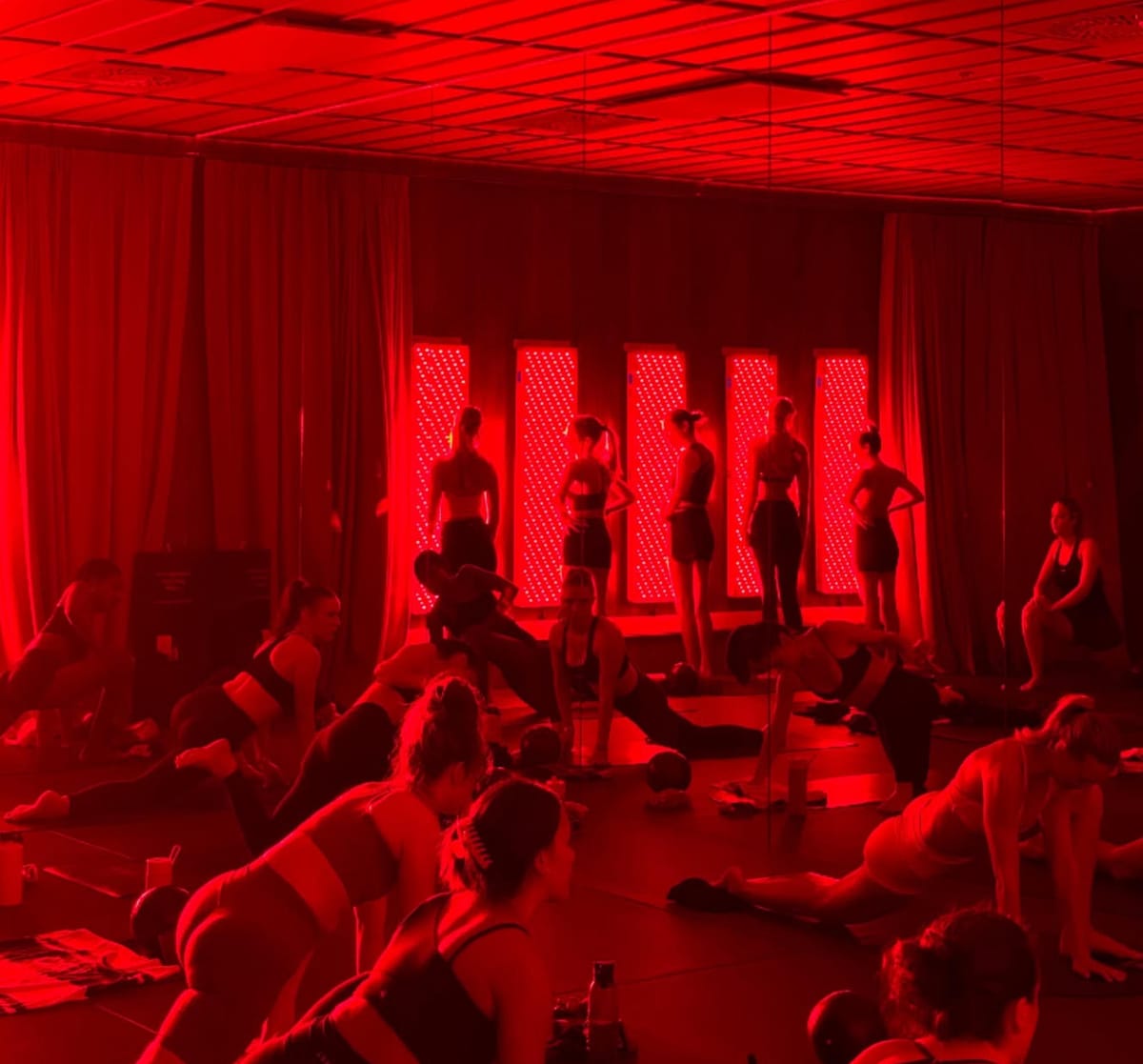 最近，新西兰这类生意越开越多