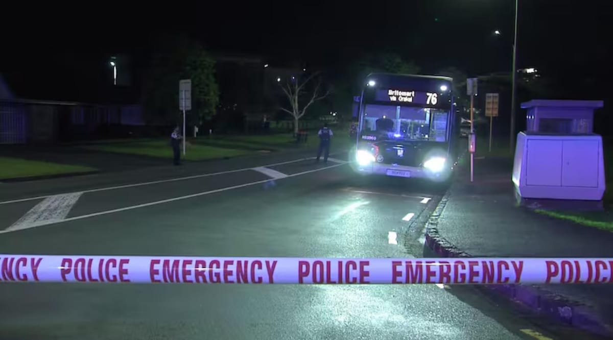 新西兰突发公交车捅人案，一死一伤