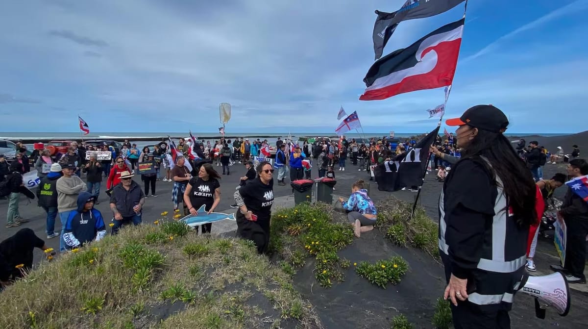 “撤回申请”！澳洲大公司被新西兰人吓跑