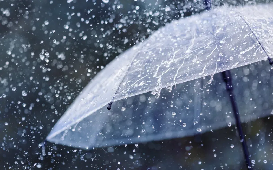 本周末全国大面积降雨;Blackmoore凶杀案另两名涉案人员被判终身监禁;奥克兰火车大面积延误