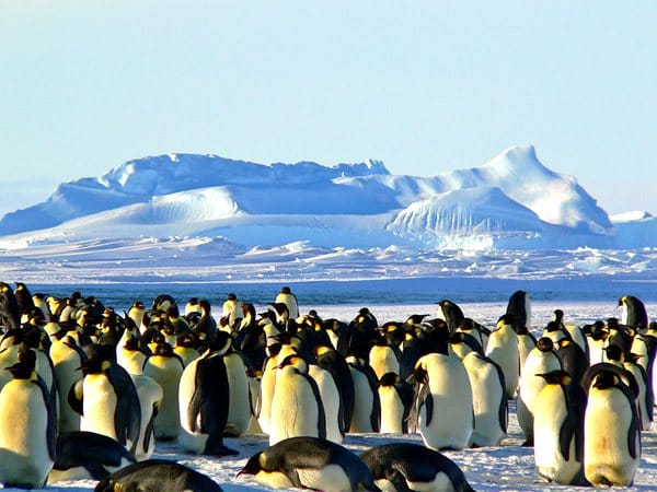 antarctic-treaty-system