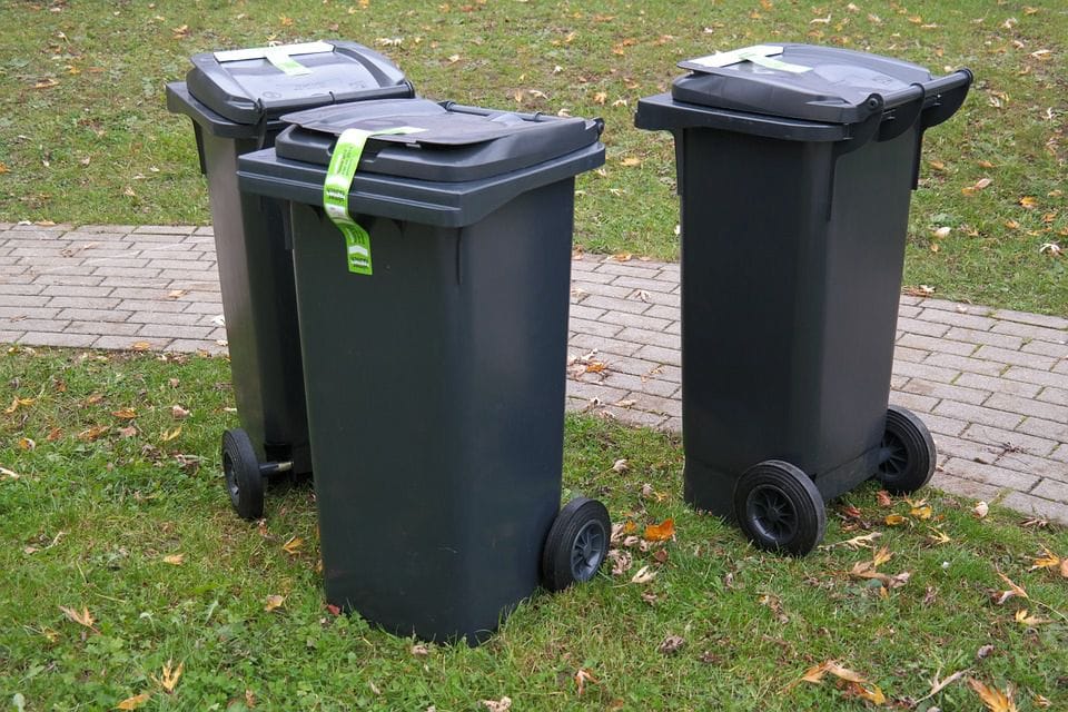 bin-fluencer
