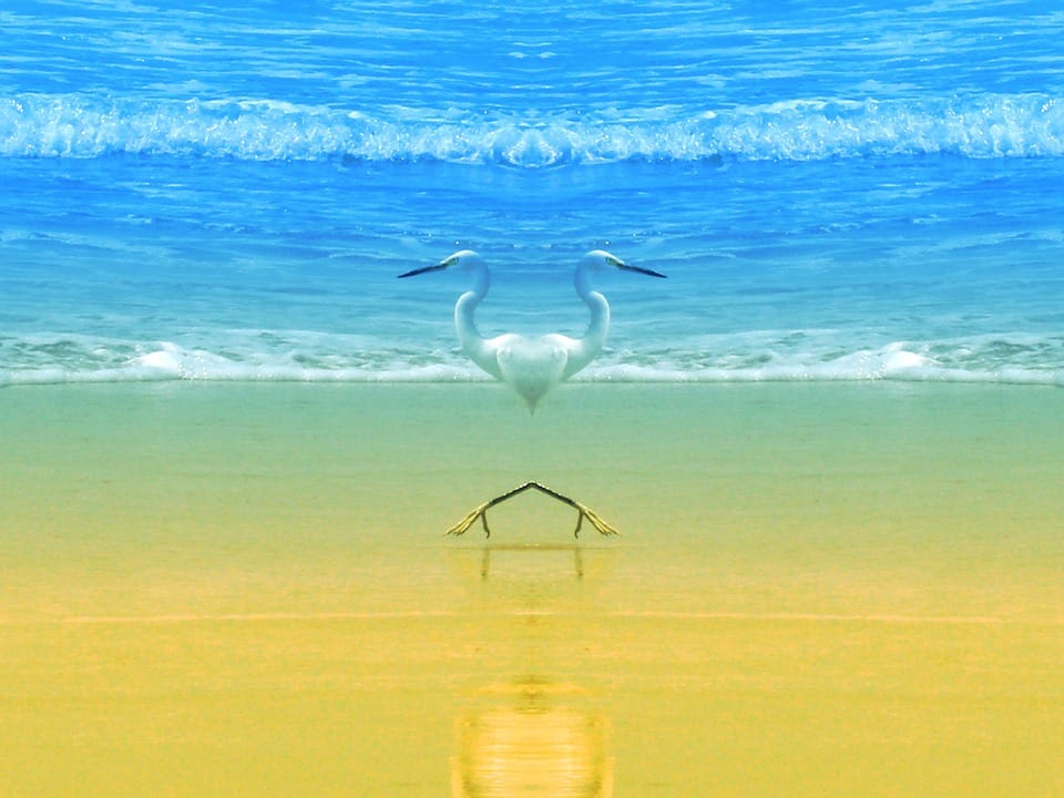 chilling-effect