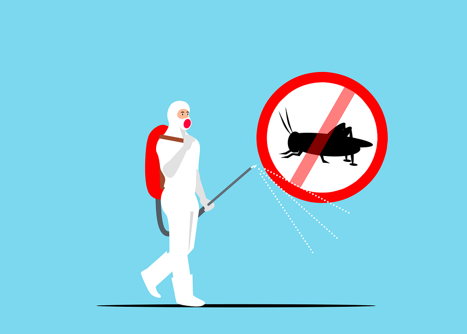 crawling-insect-killer-to-prevent-crickets