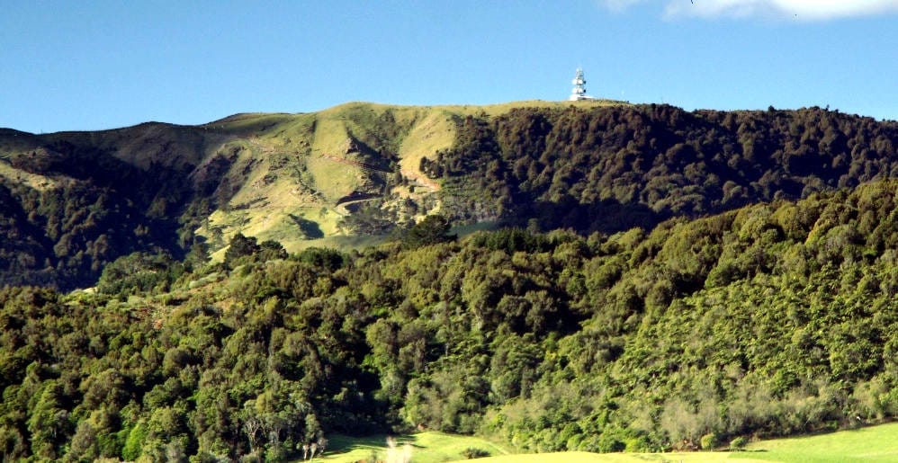 kaimai-range