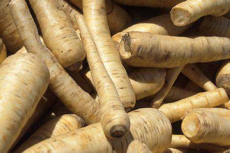 parsnip