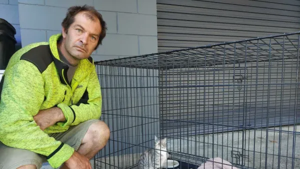 新西兰家猫在社区被枪杀惨死，主人“好害怕”