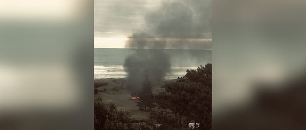 奥克兰热门海滩突发命案