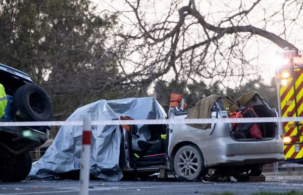 惨烈车祸，3独生子在新西兰同车死亡