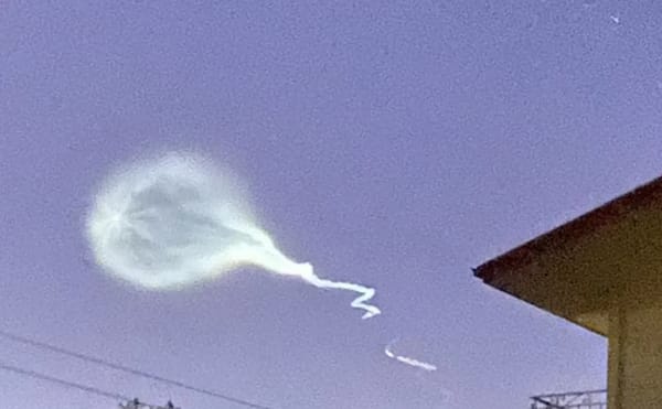 新西兰北岛天空出现“太空水母”