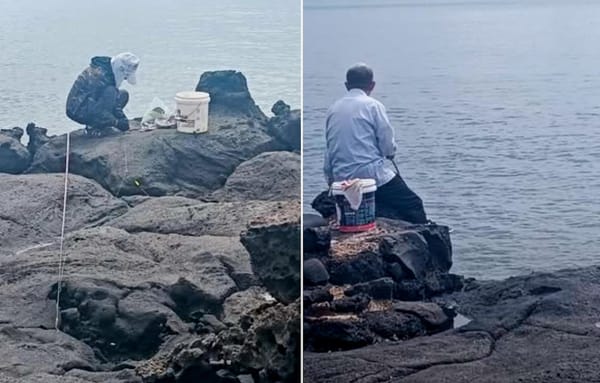 “亚洲人不在乎规则！”新西兰海边钓鱼冲突升级