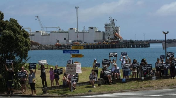 新西兰对中国这项出口无法恢复，中国是“唯一买家”