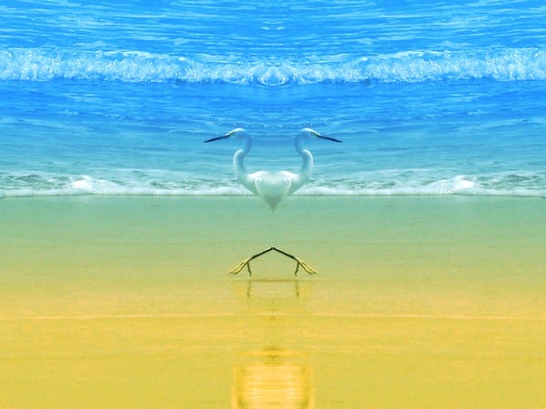 chilling-effect