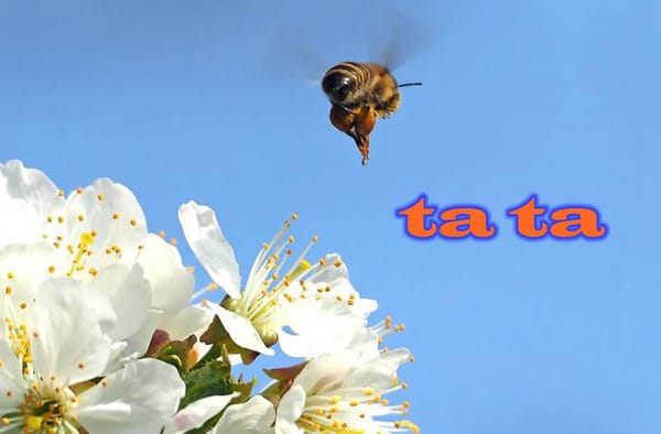 english-slang-ta-ta