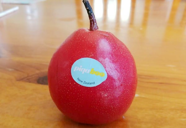 piqa-boo-pear