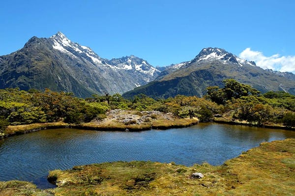 routeburn-track