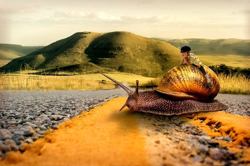 slang-sunday-driver