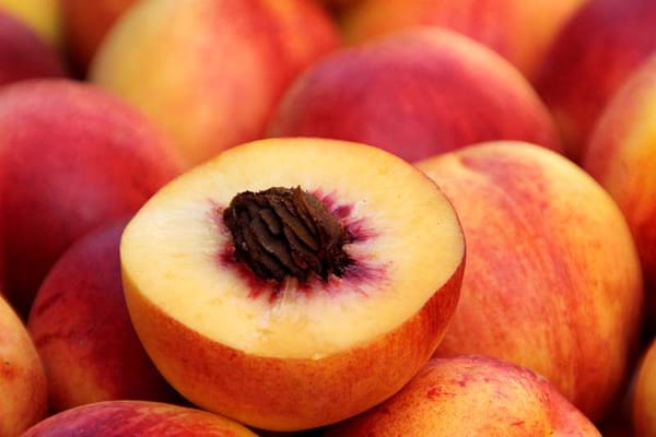 stone-fruit-nz