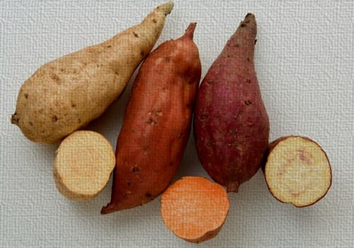 新西兰常见的红薯品种 Kumara Types