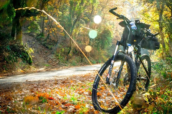 waikato-river-trails
