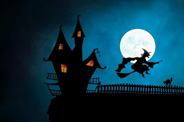 witch-hunt-in-nz-media