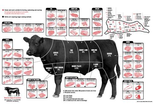 angus-beef