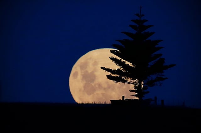 new-zealand-moon