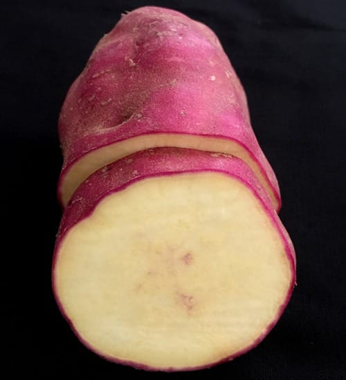 red-kumara