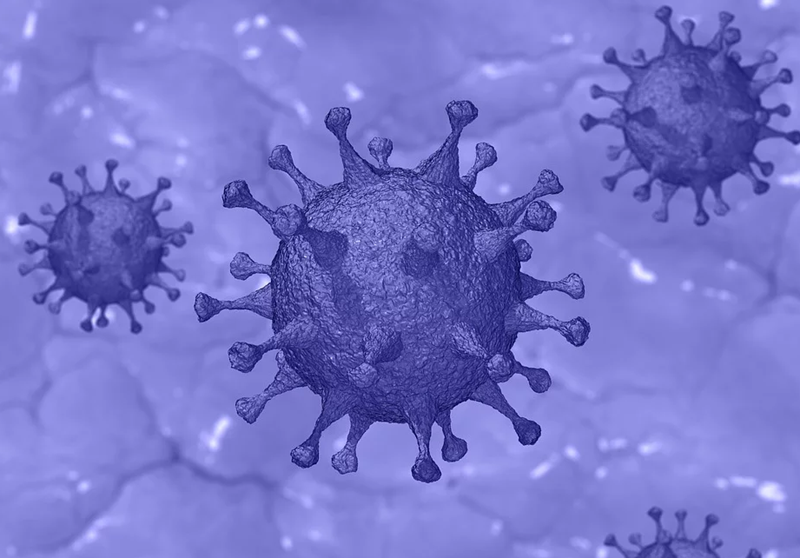 85-new-infected-coronavirus-confirmed