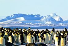 南极条约 Antarctic Treaty System