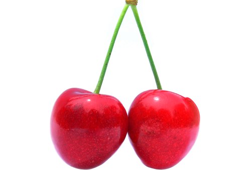new-zealand-cherry-varieties