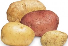 新西兰土豆New Zealand Potatoes