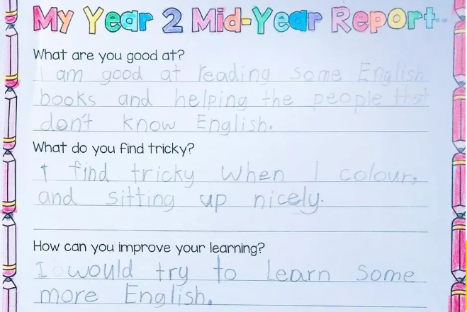 primary-school-learning-and-life-in-nz