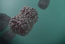 新西兰南岛出现首例猴痘病例（新西兰第三例）
