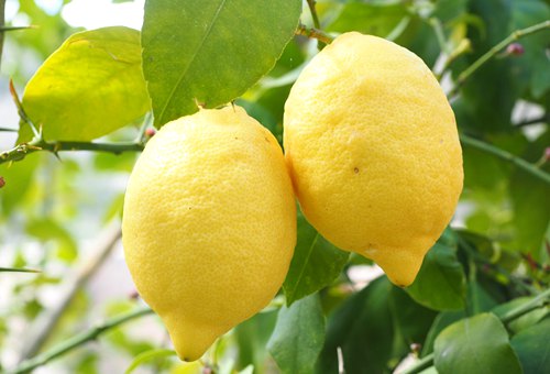 use-lemon-clean-microwave